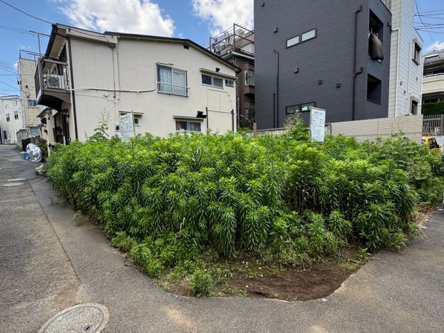 草刈りさせてください！！