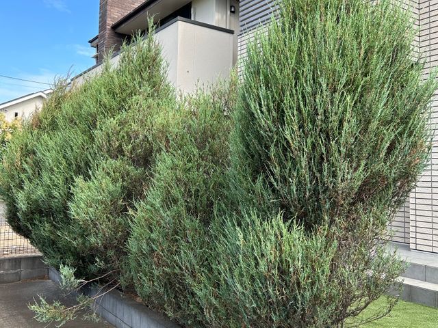 3年間100件以上の実績！大手企業も信頼するスペシャリストがご要望に完全対応