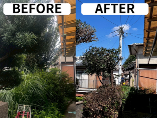 《女性スタッフ在籍》一級造園施工管理技士がお庭をスッキリ！空き家も対応します！！