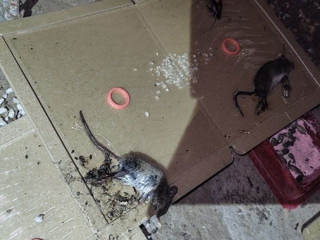 【16年の安心実績】時間外・地域外も相談可能◎写真や動画で施工前後の説明◎