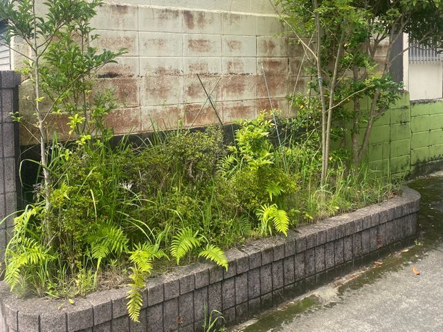 作業外注一切なし◎損害保険に加入済み◎女性スタッフ活躍中！！