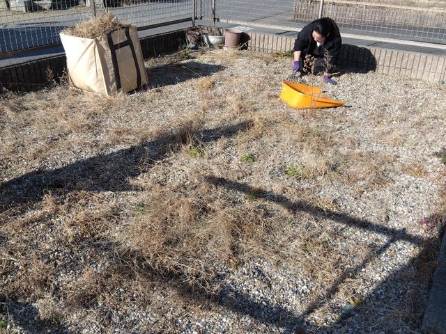 経験27年超のプロが手際よく仕上げる、お庭のケア