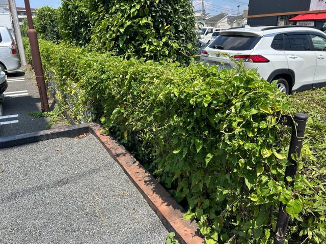 3年間100件以上の実績！大手企業も信頼するスペシャリストがご要望に完全対応