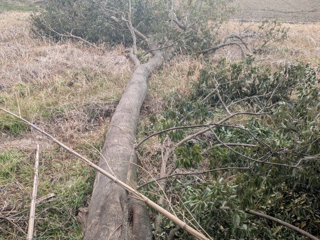 15年以上の実績を持つ店長が必ず訪問！お客様に寄り添う安心の作業