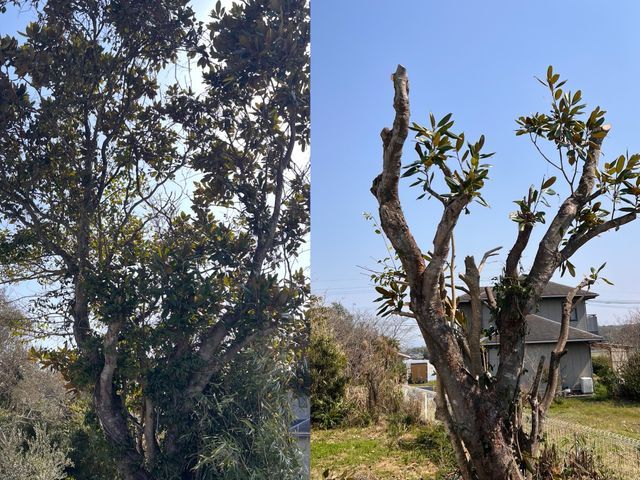 プロの技術でご満足いただけるように心を込めて作業いたします