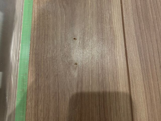 営業・現場監督歴8年!お客様目線で頑張ります！