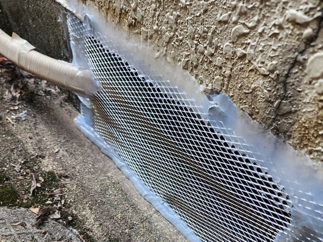 厄介なネズミは弊社の定額プランで安価に確実に対策をしましょう！