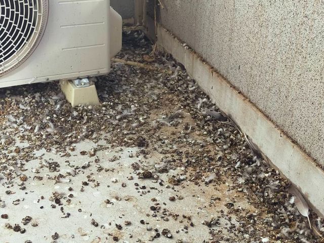 プロの技術でご満足いただけるように心を込めて作業いたします