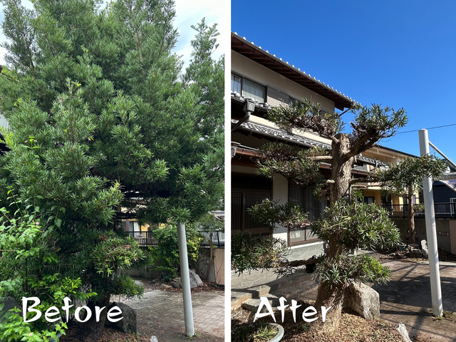 【10%割引中！】地域密着で年間300件以上の実績！お庭の剪定はお任せ下さい！