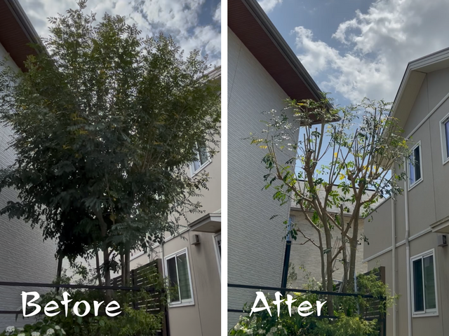 【20%割引中！】地域密着で年間150件以上の実績！お庭の剪定はお任せ下さい！