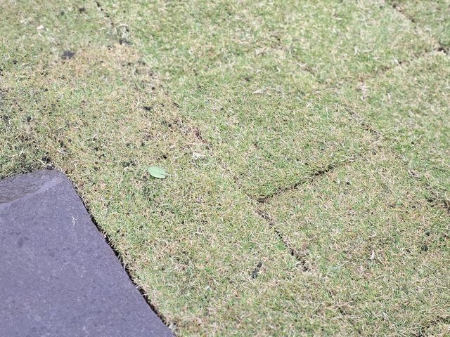 お見積り無料ですので、まずはお気軽にお問い合わせください❀