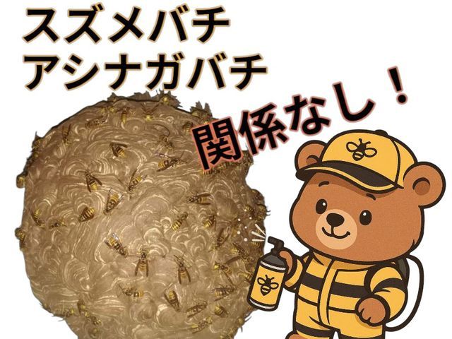 茨城県専門！地元の蜂の巣駆除業者なら「駆除ベアー」にお任せ下さい♪