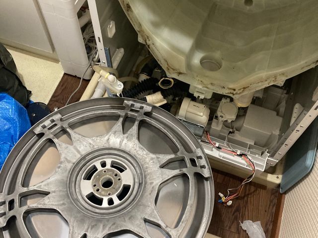 女性スタッフ同行可能！主婦目線でドラム式洗濯槽を徹底クリーニング