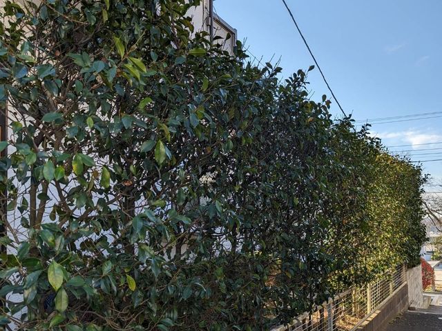 【業界歴２３年と１３年のコンビネーション】☆損害保険加入済み3億円まで対応で安心