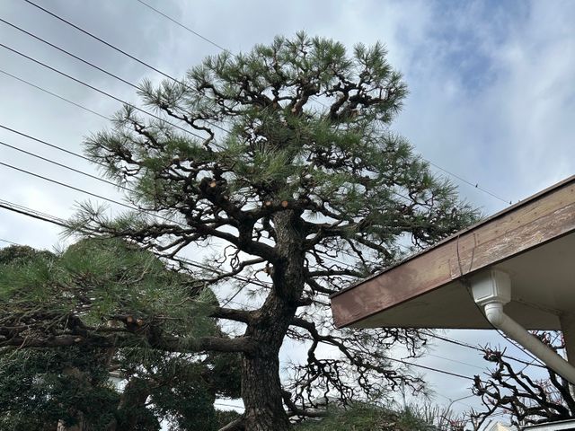 【八王子市発】女性スタッフ同行可！営業時間外や対応地域外のご予約もご相談下さい◎