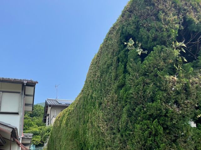 お客様のご要望に柔軟に対応致します。お気軽にご相談ください。