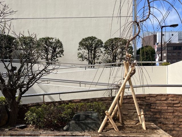 ◆年中無休◎自社スタッフが迅速ていねいに仕上げます！サービスの画像