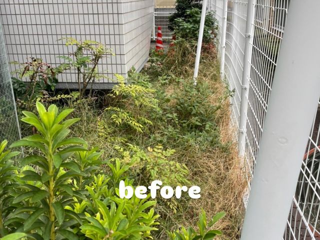 ☆２０２６年２月オープン☆造園一筋15年以上！お庭のお手入れお任せください！