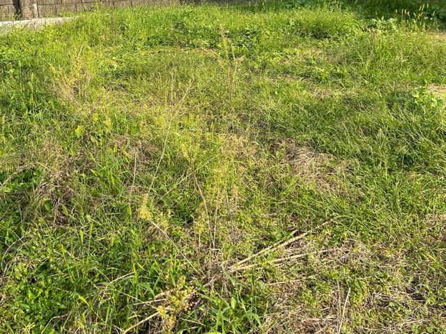 ☆2026年2月オープン☆造園一筋15年以上！お庭のお手入れお任せください！