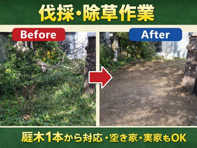 夏目前！虫嫌いな方必見！先着10名様限定20%オフ！最短当日〜翌日で伐採可能！