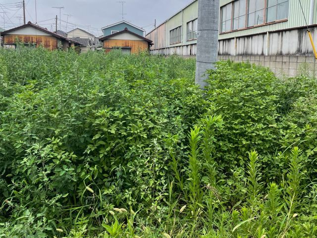 空き地・お庭の草刈り【鴻巣市発・地域密着対応】