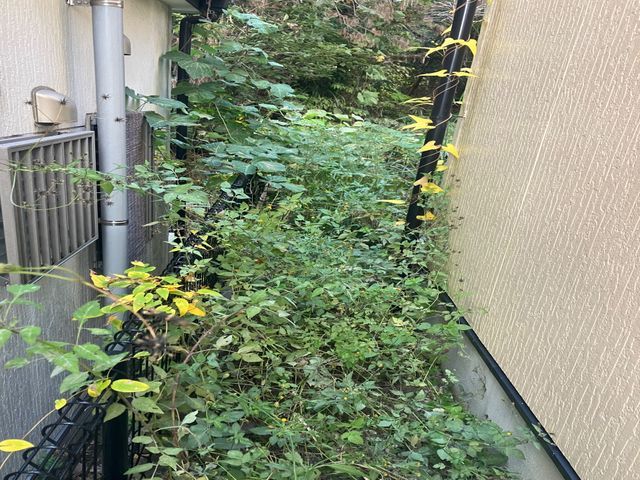 芝刈り、草刈り