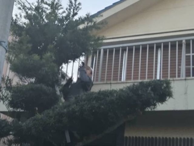 本日25日午後空いてます。年末セール中。他作業可能日は27日28日29日30日