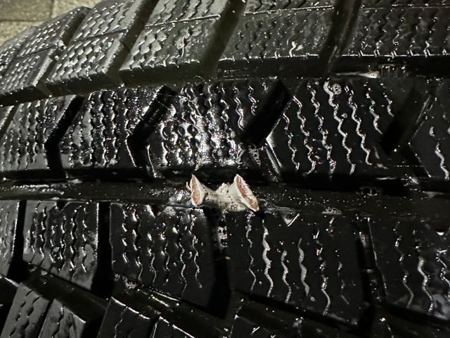 大手経験者が作業外注一切なしで完全自社対応！お客様第一の接客でお困りごとを解決