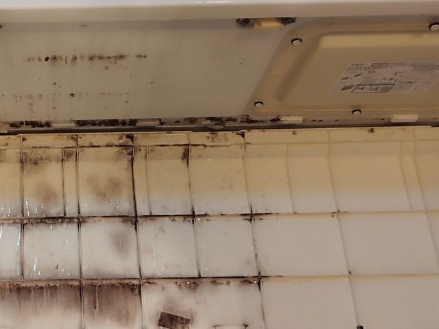 大人気★3 月キャンペ特別価格でご案内！数量限定☆エプロン内部防カビサービス☆