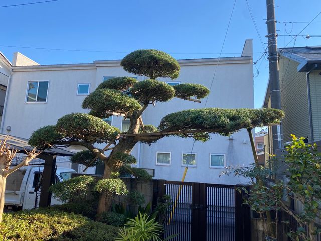 9月出店☆【累計2000件以上】店長訪問〜季節に合った剪定をご提案します〜