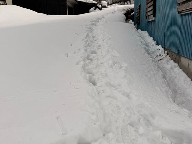 雪のお悩みすぐ解決！雪かき雪下ろしなら当店へ！
