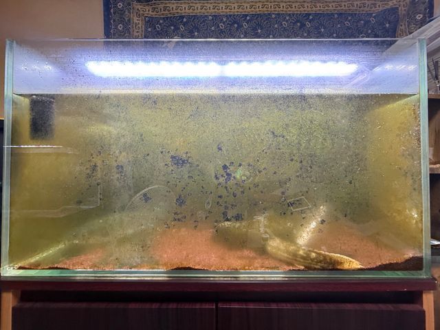 プロの技術でご満足いただけるように心を込めて作業いたします