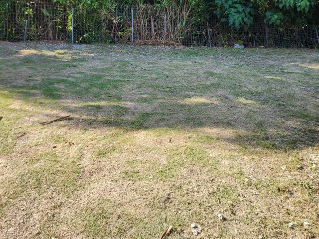 草刈り機での草刈り！高齢者宅・空き家の草刈り機作業も多数実績