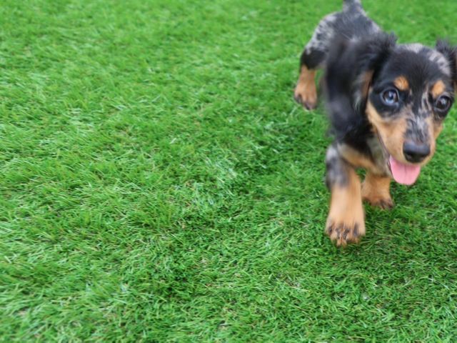 〜安心安全の激安秋季キャンペーン〜