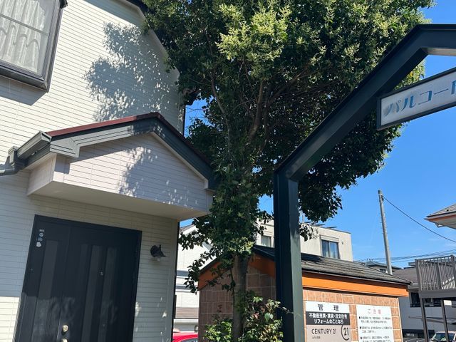 【損害保険加入済】女性スタッフの同行可能◎ヒアリングしっかり！どんな樹木でも◎