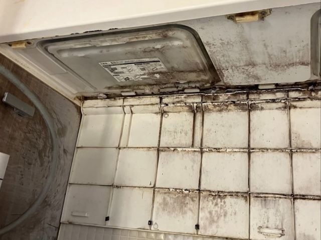 セットがお得！カビも水アカも徹底除去！