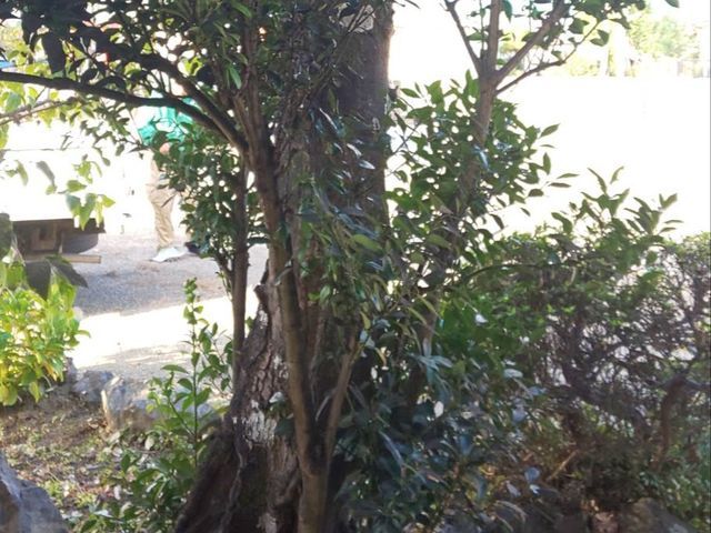 【業界歴２３年と１３年のコンビネーション】☆損害保険加入済み3億円まで対応で安心