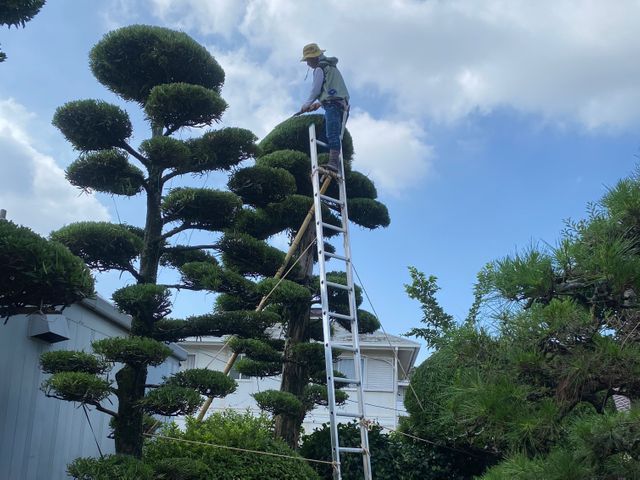 経験27年、時間外対応　お客様の立場になって仕事をさせてもらいます