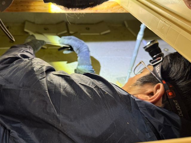 【害獣レスキュー24】◎誠実駆除◎安心と清潔をお届けするプロの訪問サービス