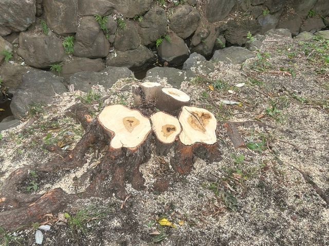 丁寧なコミュニケーションで、お客様の理想のお庭づくりをしっかりサポートします。