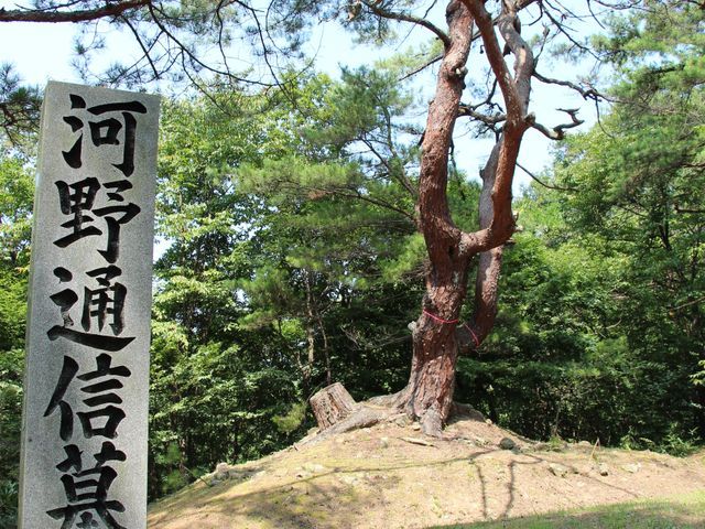 お墓参りを代行します