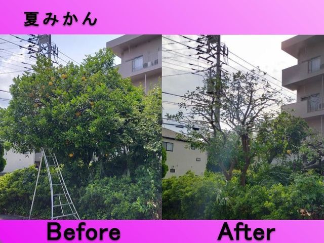 【女性店長が対応】国家資格あり☆13年/2000件実績あり◉大手経験あり