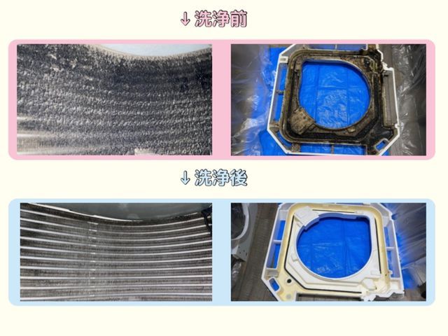 【夫婦でお伺い】2月新規出店◎店舗！事務所！オフィス！大歓迎！丁寧に作業します！