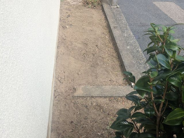 丁寧に草むしり（手作業）致します。格安/迅速/夜間/早朝/休日対応/お気軽に