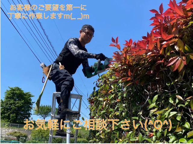 爽やかな風、心地よい光、自然に触れあえる整った庭で、心も整えてみませんか？