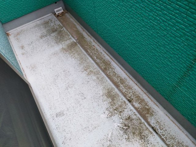 【高圧洗浄でスッキリ】床・壁・排水溝・手すり等・網戸・窓、サッシの簡易清掃セット