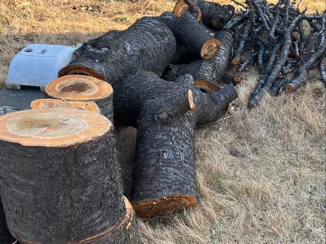 写真見積可能！費用は簡易清掃・ゴミ回収処分代全て込み！注)伐採と抜根は別料金です