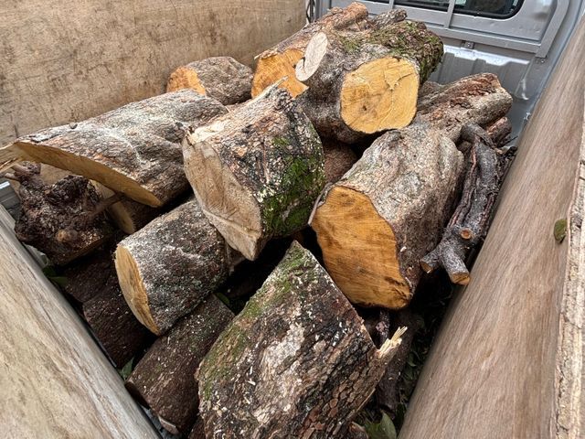 冬限定！2本以上で値引き致します。庭じまいでお困りの方や伐採で悩んでる方大歓迎！