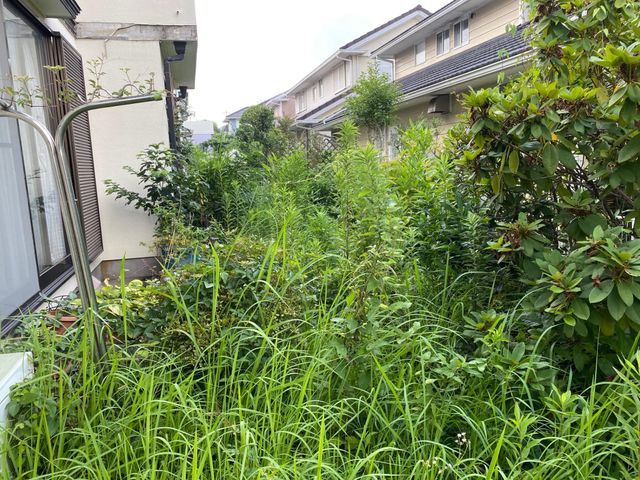 丁寧な作業で、お庭を整えます。