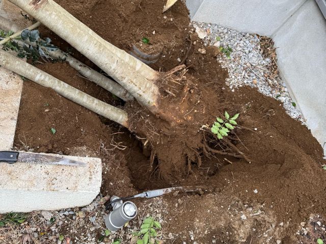 プロの技術でご満足いただけるように心を込めて作業いたします